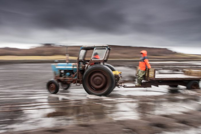 Photography, luck (and the value of observation)