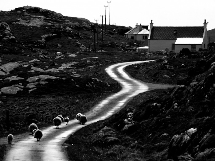 The long and winding road