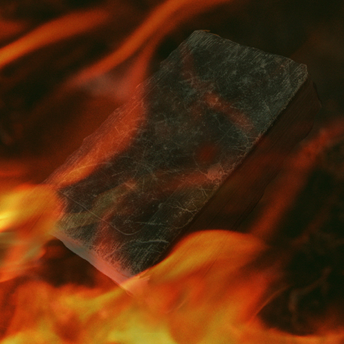 Burning books