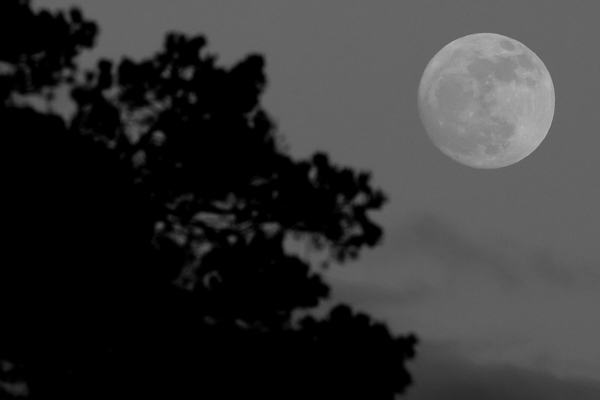 Astronomical prices © John MacPherson