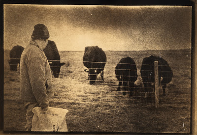 Lith stuff (The Crofter) © Andrea Ingram