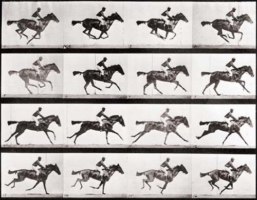 Motion study by Eadweard Muybridge (1878)