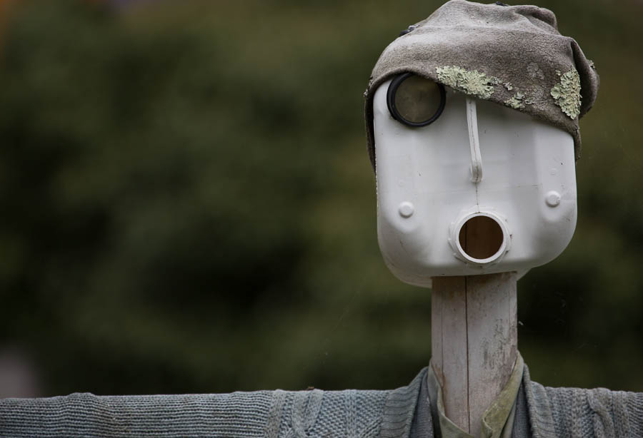 Your neighbours are watching you..... © John  MacPherson