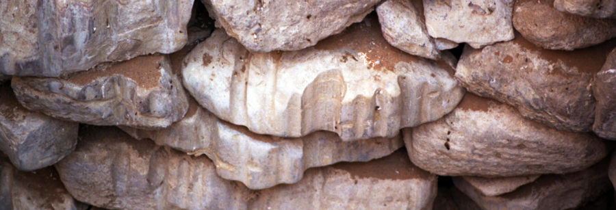 Darb grooved rock © Dr David Abbott