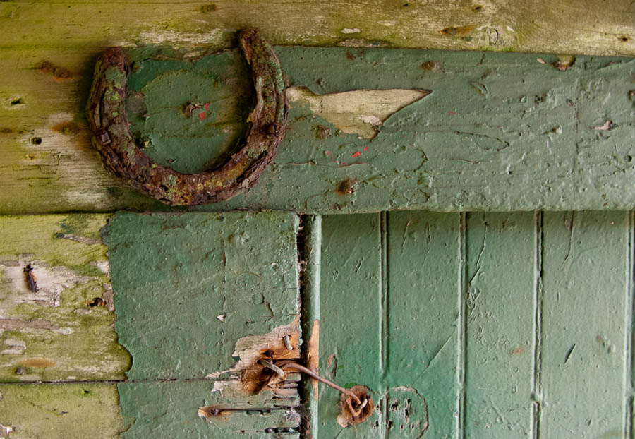 They bring you good luck, so they say © John MacPherson