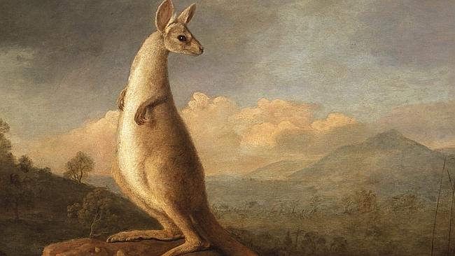 'Kongouro from New Holland' by George Stubb