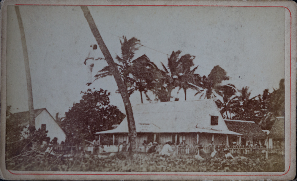 Hanging in Samoa © John MacPherson