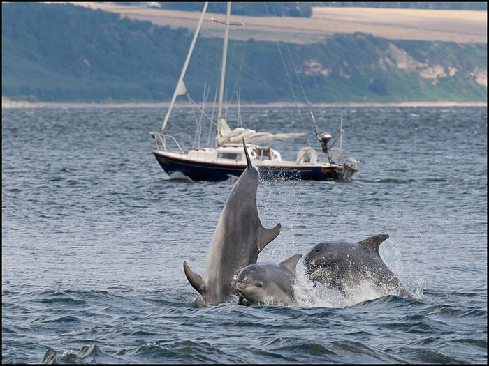 Scottish Nature Photography Fair 2014