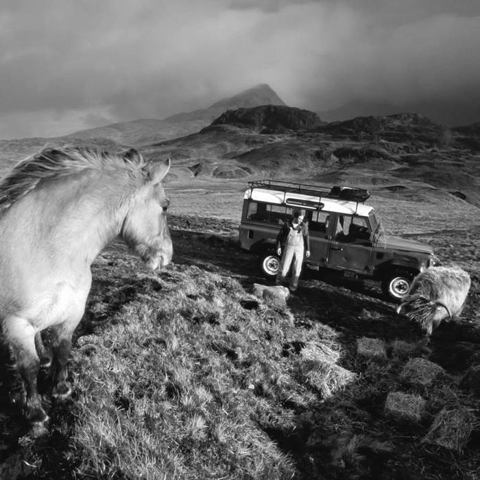 Bringing the feed, Rum