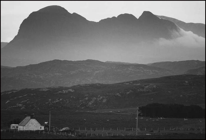 The sheep, Sutherland