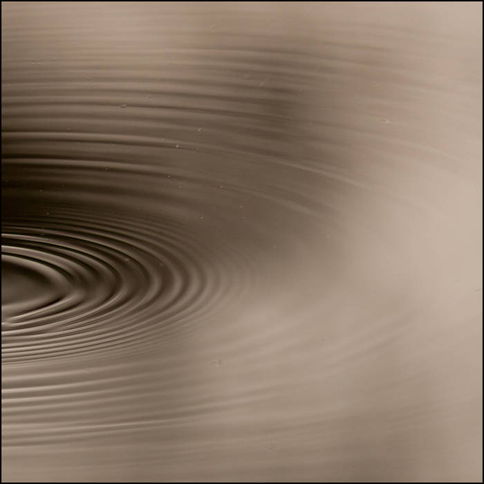 Trout rise in woodland pool © John MacPherson