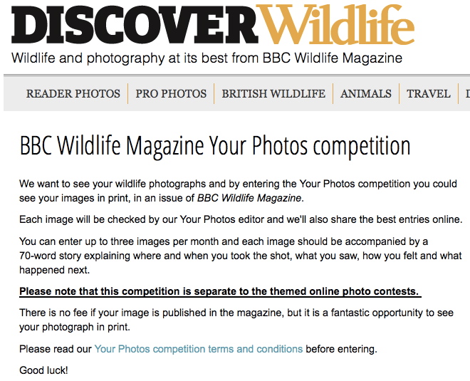 Of Immediate Concern