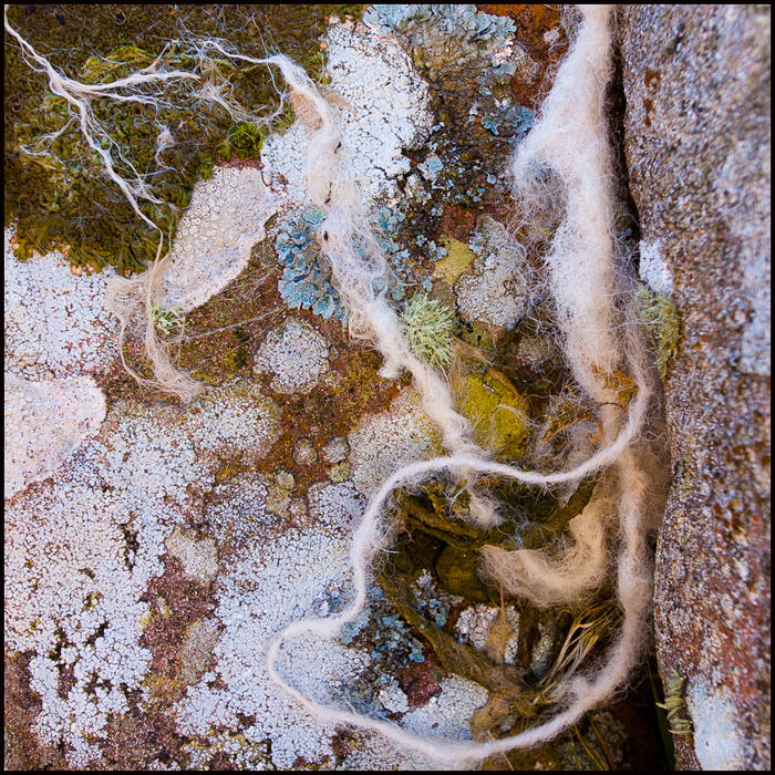 Small stories from nature – spinning yarns for all of us