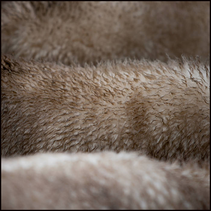 Lairg Lamb Sale, Sutherland © John MacPherson