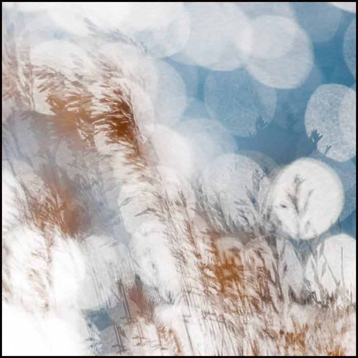 Grass and water, Yellowstone © John MacPherson