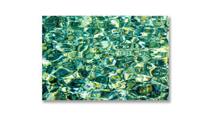 Dance of the Sewer Trout