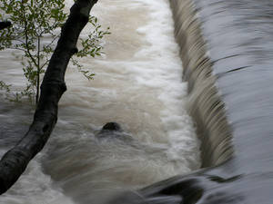 A small weir on our local river, nice but not spectacular...