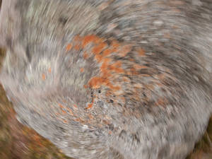 Trying to entertain a cold wet group on a miserable day prompted some experimentation with a compact camera, twirling it as it was moved in towards the boulder...