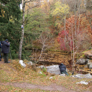 A bend in the river, the water peat-stained dark, with fallen autumn leaves on its surface, on an overcast, cold wet day...