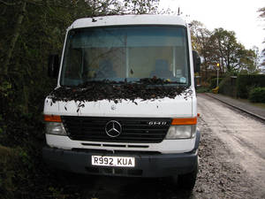 The windscreen of an old Merc van parked on the street for a few weeks during late autumn became....