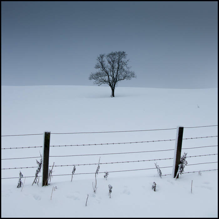 An approaching blizzard turns the sky steely bluegrey, Aberdeenshire © John MacPherson