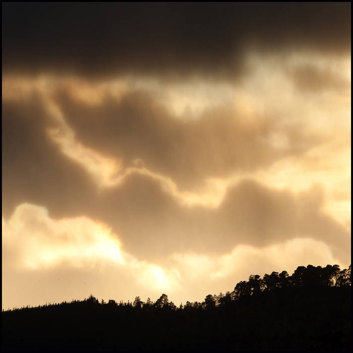 Rain storm at sunset over the forest, Strathspey © John MacPherson