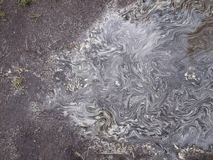 Out cycling I cam across this pollen floating on a puddle on a rural road. A close-up in high contrast b&w revealed...