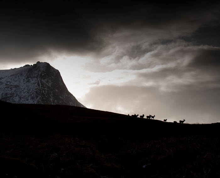 Red deer enjoy a break in the weather, but only temporarily © John MacPherson
