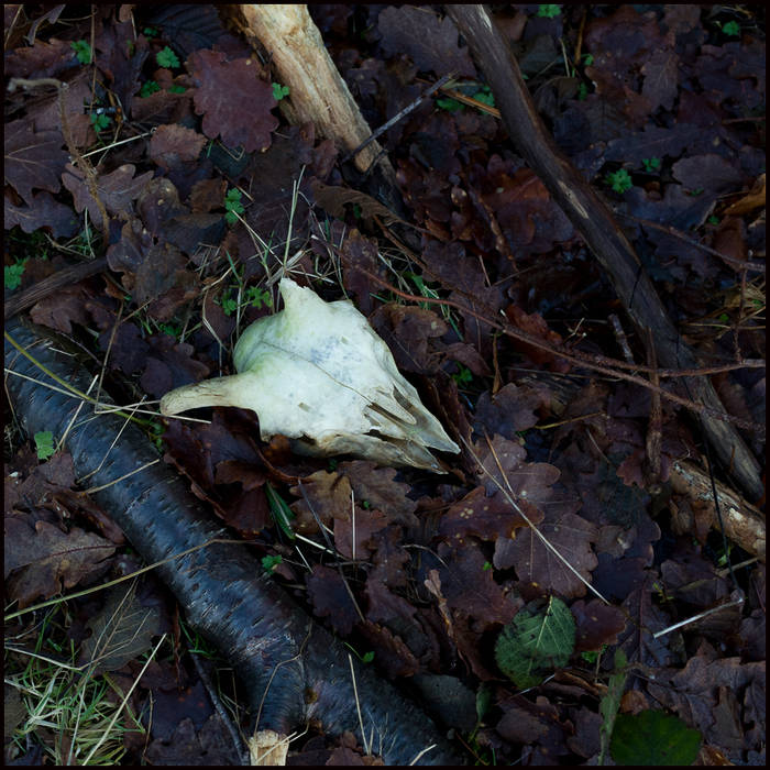 The Dark Mile near Loch Arkaig © John MacPherson