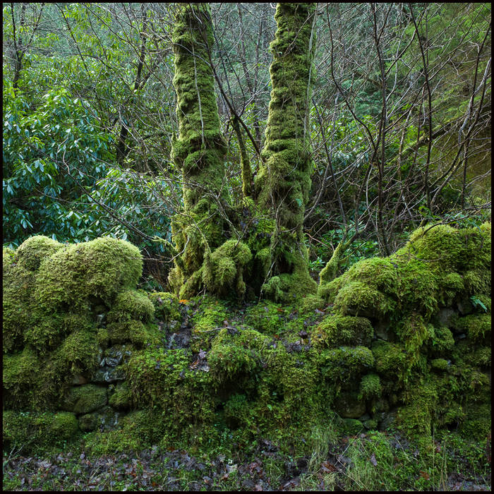 The Dark Mile near Loch Arkaig © John MacPherson