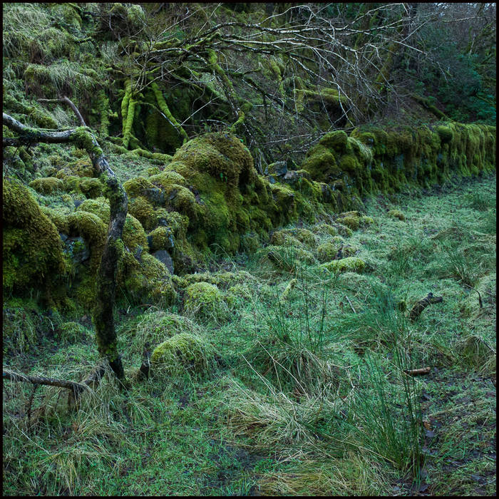 The Dark Mile near Loch Arkaig © John MacPherson