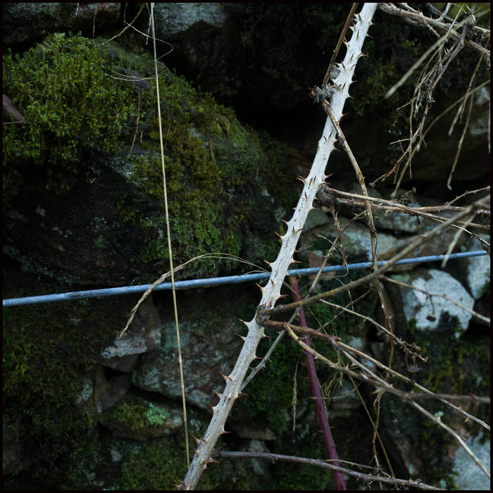 The Dark Mile near Loch Arkaig © John MacPherson