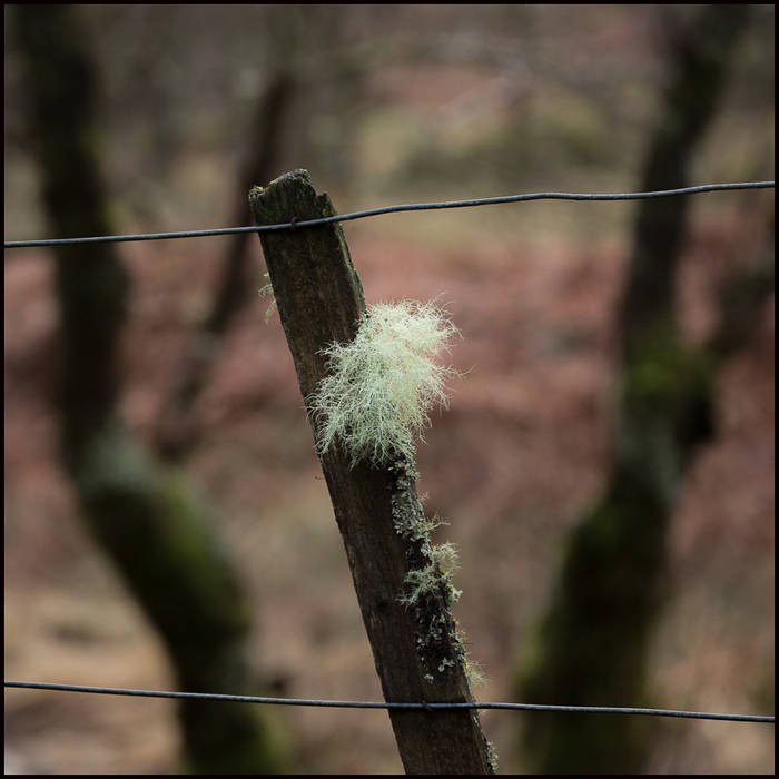 The Dark Mile near Loch Arkaig © John MacPherson