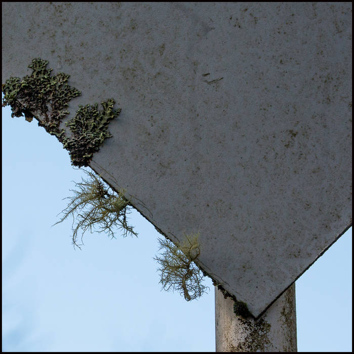 Lichen on Passing Place sign, The Dark Mile near Loch Arkaig © John MacPherson