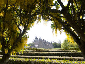 A morning wandering through the gardens of a local castle with its well-crafted hedges......
