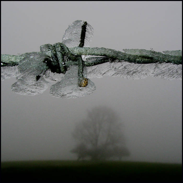 Ice storm coats barbed wire fence © John MacPherson