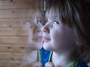 My wee boy staring out the window at the birds...