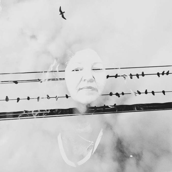 Fact, Fiction & Manipulation