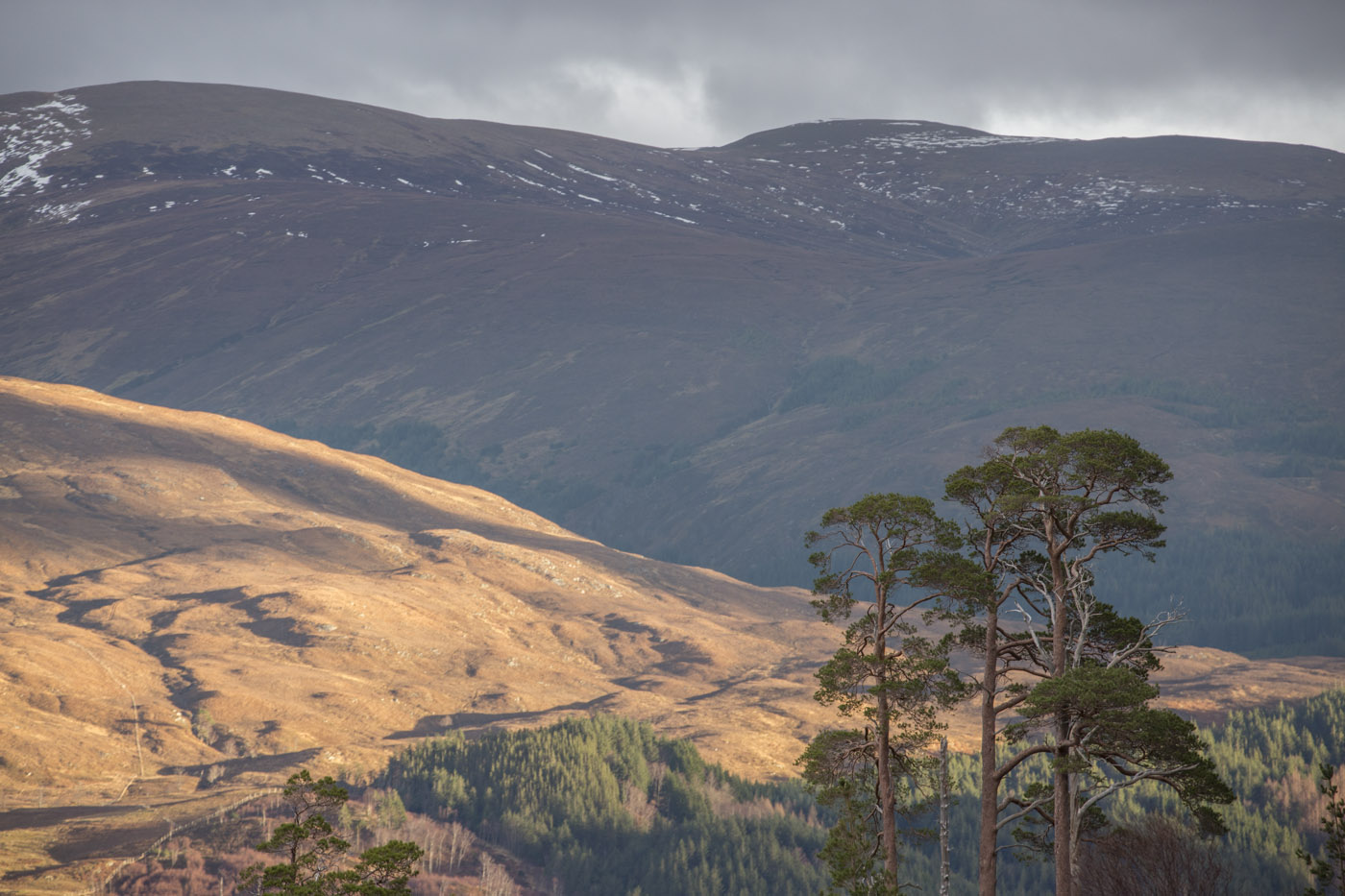 View north-east across Loch Arkaig from upper slope of Beinn Bhan (across East Block woodland). © John MacPherson