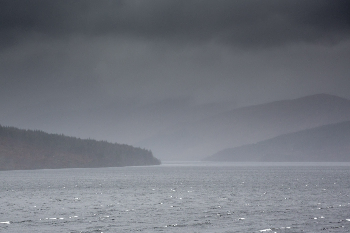 View west up Loch Arkaig with West Block woodland on left side. © John MacPherson
